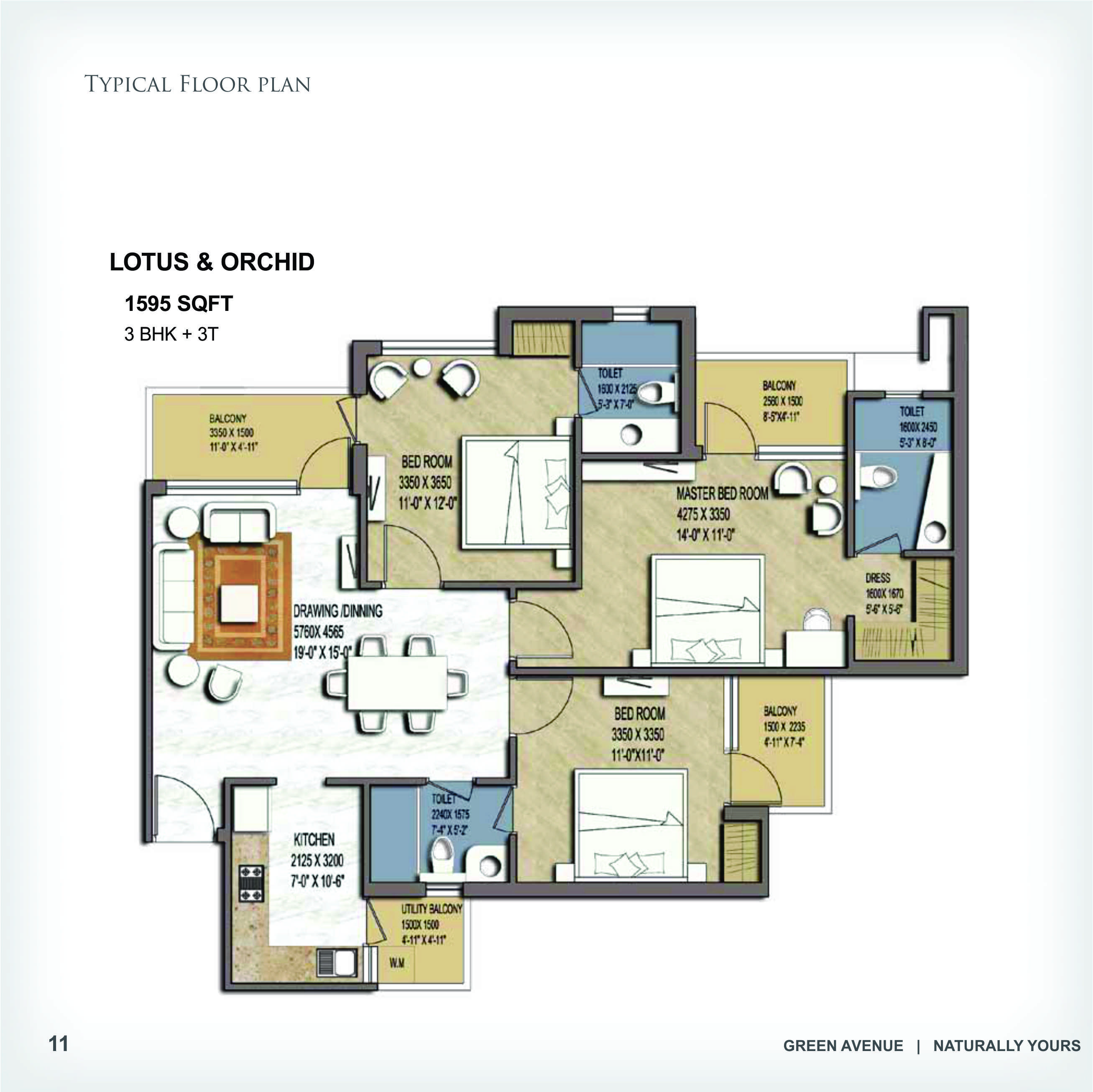 Airwil Green Avenue — floor plan 1